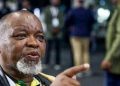 ​“Who Gives Them That Money” Gwede Mantashe Sparks Fury After Confronting Freedom Park Granny