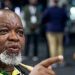 ​“Who Gives Them That Money” Gwede Mantashe Sparks Fury After Confronting Freedom Park Granny