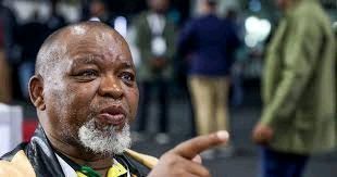 ​“Who Gives Them That Money” Gwede Mantashe Sparks Fury After Confronting Freedom Park Granny