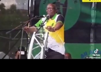 Former President Jacob Zuma Says Undocumented Foreigners Must be Documented