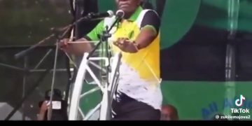 Former President Jacob Zuma Says Undocumented Foreigners Must be Documented