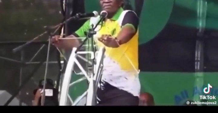 Former President Jacob Zuma Says Undocumented Foreigners Must be Documented