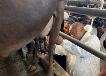 WHILE SA IS BURNING: See What Cyril Ramaphosa Was Spotted Doing at a Farm Amid Immigration Protests