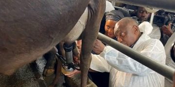 WHILE SA IS BURNING: See What Cyril Ramaphosa Was Spotted Doing at a Farm Amid Immigration Protests