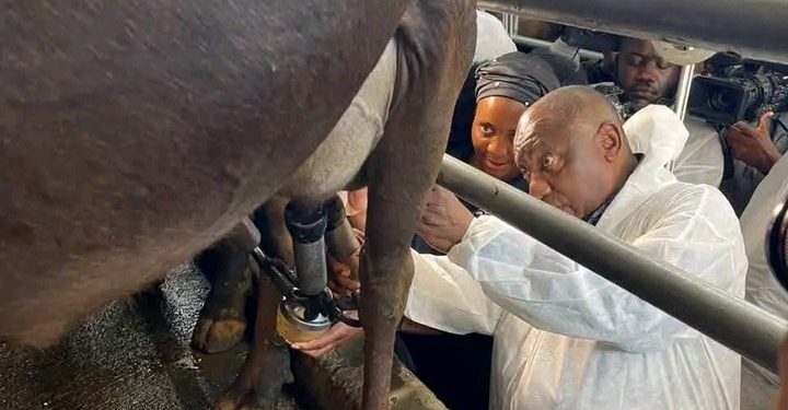 WHILE SA IS BURNING: See What Cyril Ramaphosa Was Spotted Doing at a Farm Amid Immigration Protests