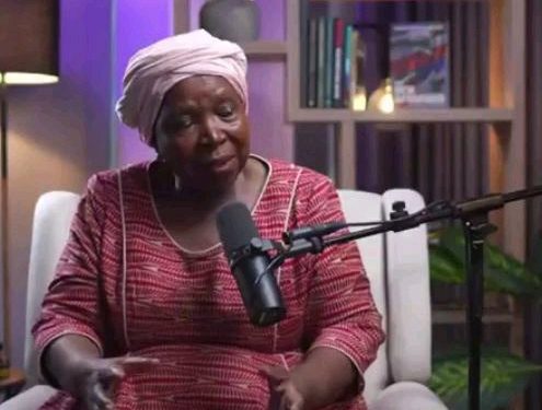 “Give Me The Foreign Minister or I’m Leaving” Dlamini-Zuma Revealed How She Challenged France