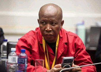 Julius Malema Ordered to Testify Before Madlanga Commission