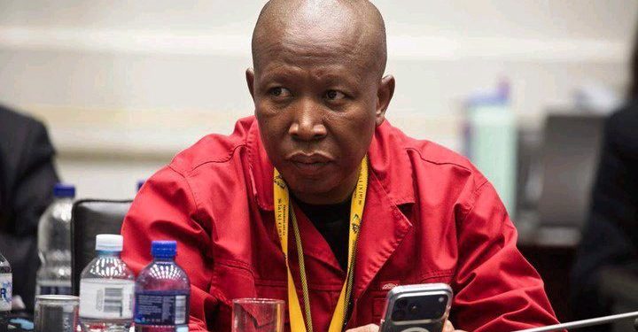Julius Malema Ordered to Testify Before Madlanga Commission