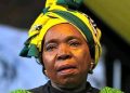 NDZ Scores Big Court Win Over Mbalula – Then Fires Warning Shot at ANC Money Politics
