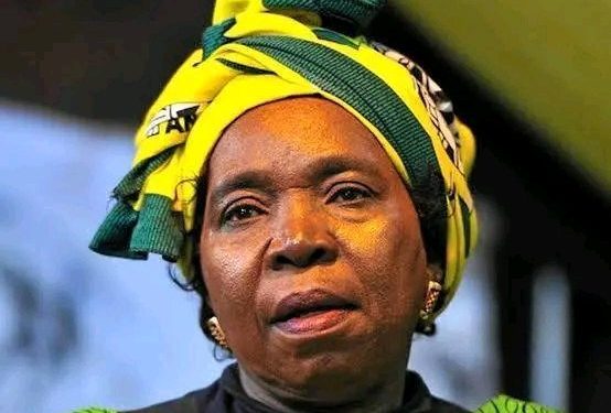 NDZ Scores Big Court Win Over Mbalula – Then Fires Warning Shot at ANC Money Politics