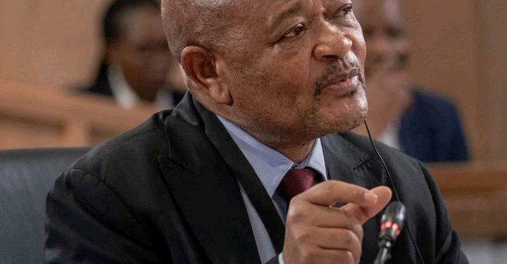 Public Protector’s Senzo Mchunu Probe Takes a New Turn as Investigation Details Emerge