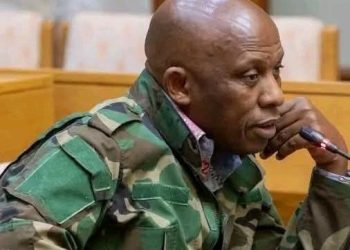 David Mkhwebane Reportedly Set to Join EFF After MK Party Exit