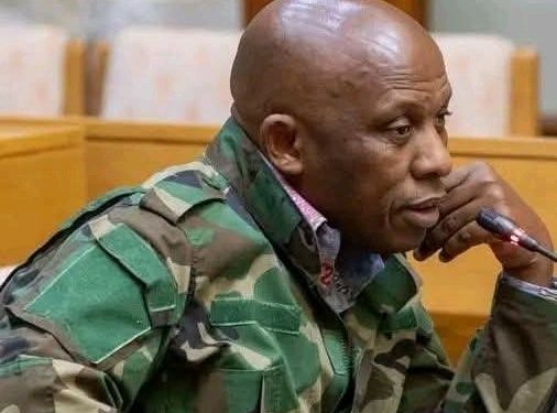 David Mkhwebane Reportedly Set to Join EFF After MK Party Exit