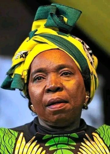 NDZ Scores Big Court Win Over Mbalula – Then Fires Warning Shot at ANC Money Politics