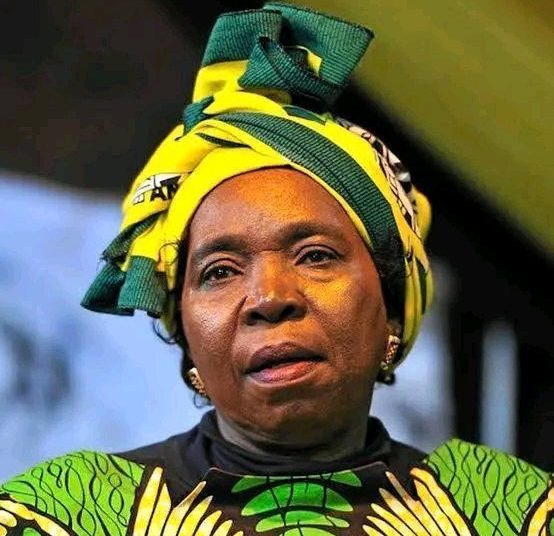 NDZ Scores Big Court Win Over Mbalula – Then Fires Warning Shot at ANC Money Politics